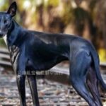 南宫壹号娱乐:如何在这里结识新朋友与老友 1i43recxu